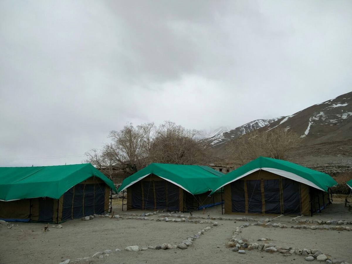 Pangong Delight Camps And Cottages Spangmik Екстер'єр фото